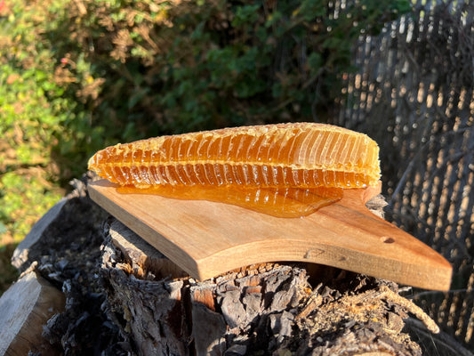 Honeycomb Dripping Golden Honey