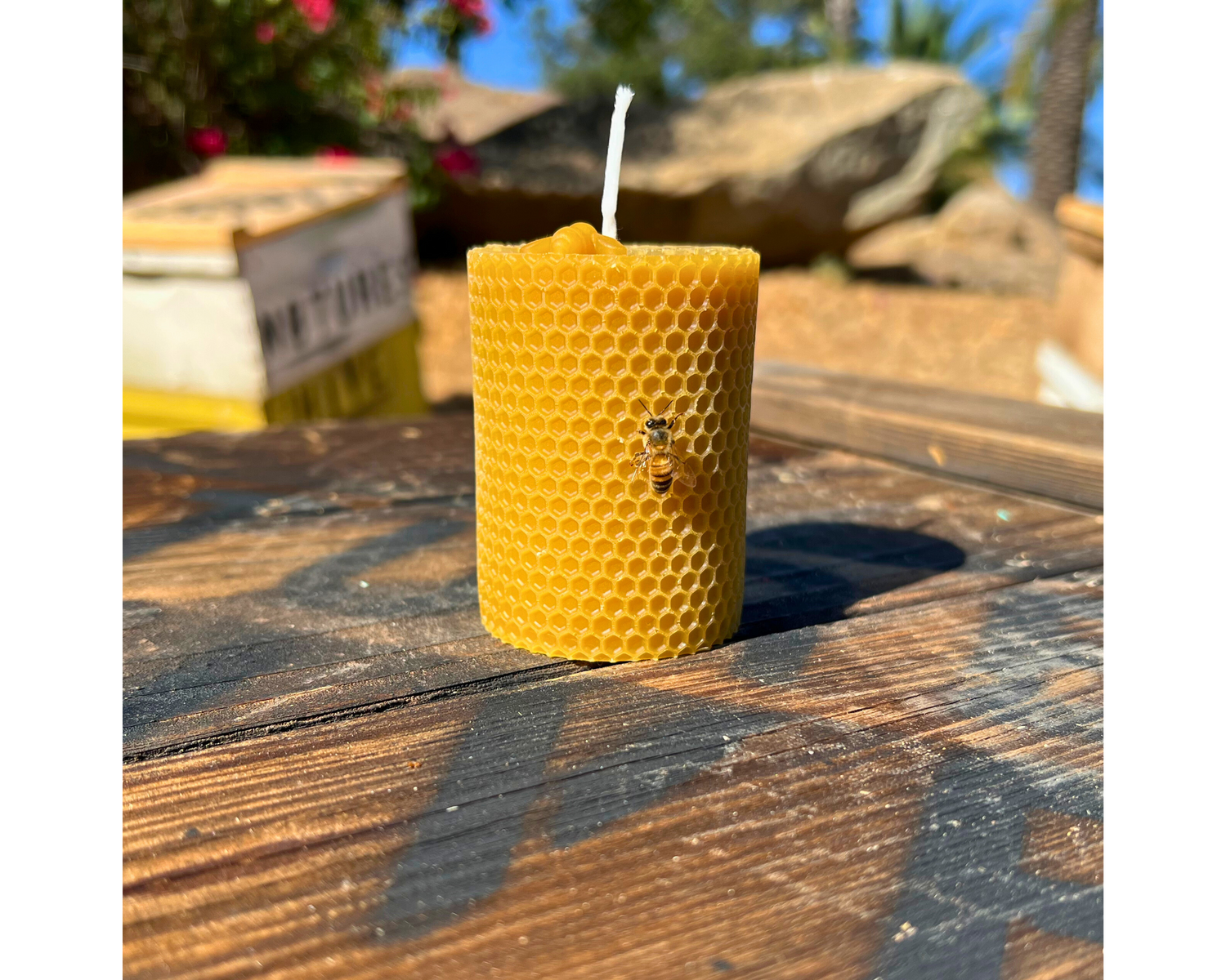 Hive & Hearth Essentials: Honey, Honeycomb, and Candles